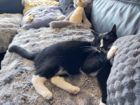 /album/09-11-2025/afbeelding-van-whatsapp-op-2025-11-07-om-12-31-42-b300c680-jpg/